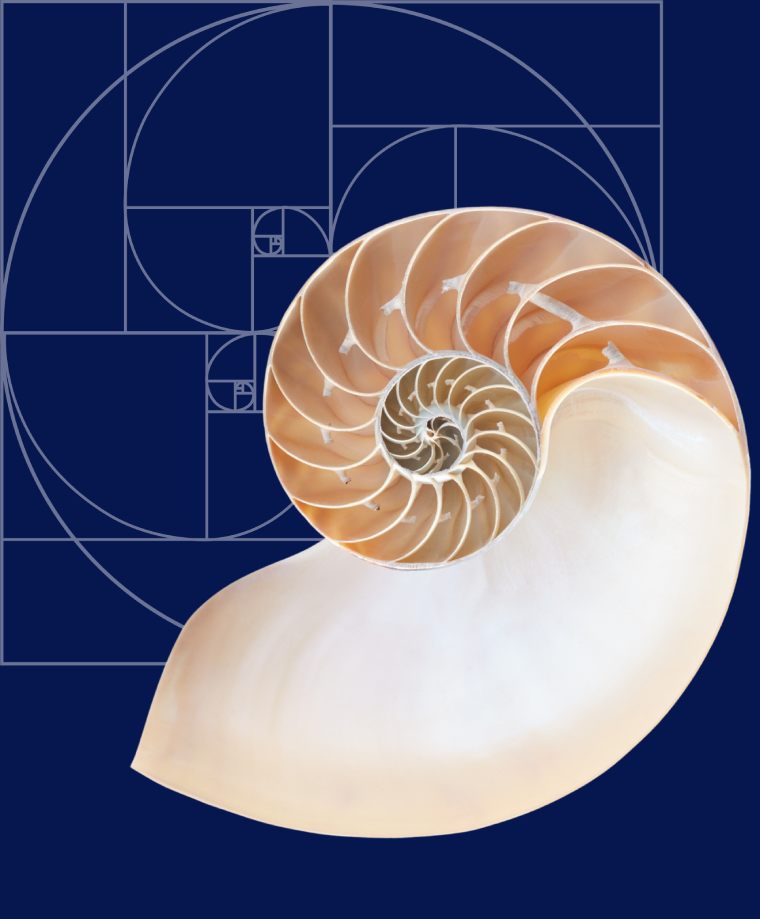 nautilus